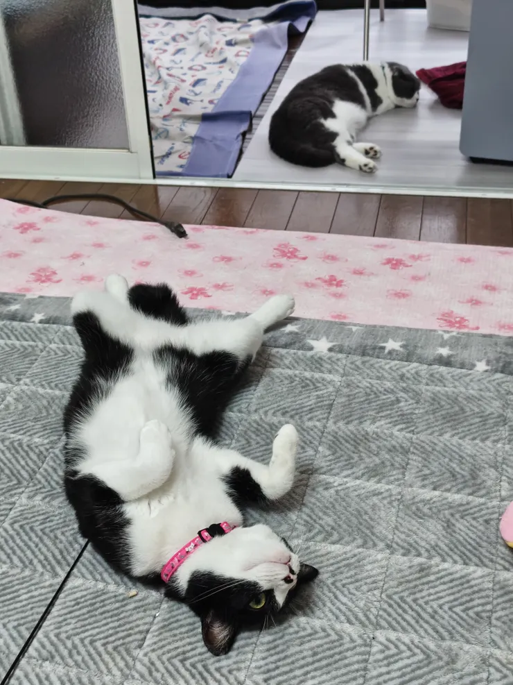 アイキャッチ