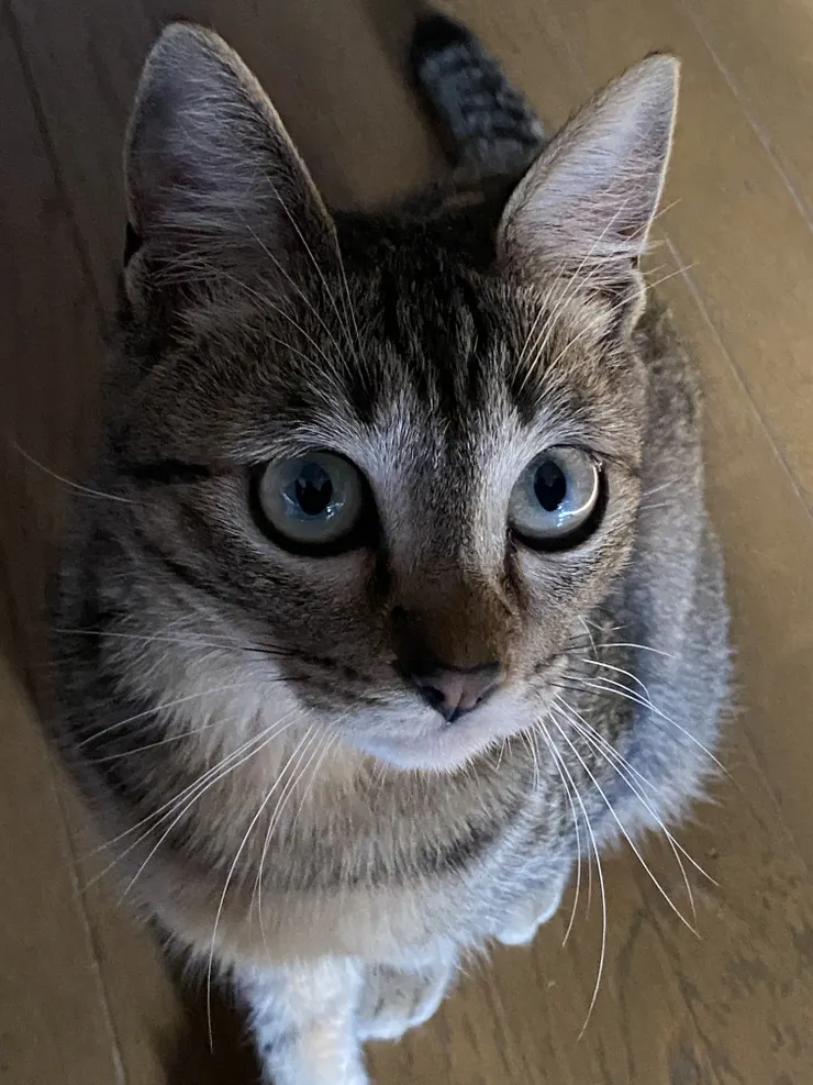 アイキャッチ