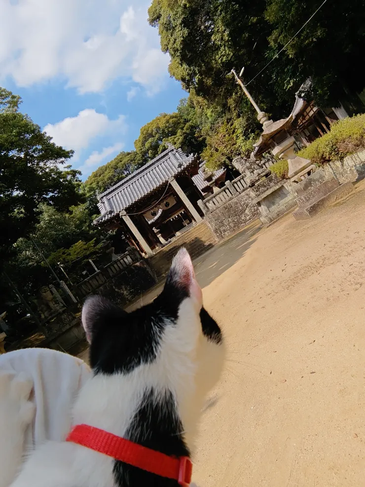 アイキャッチ