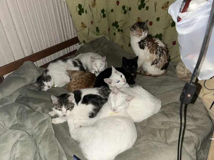 アイキャッチ