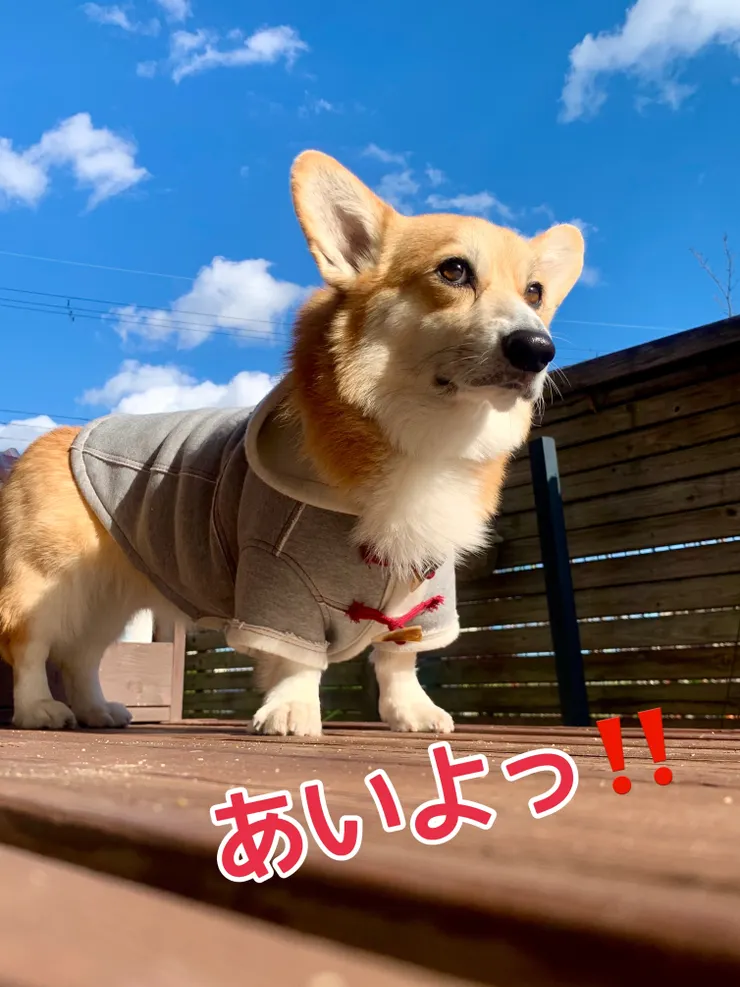 アイキャッチ