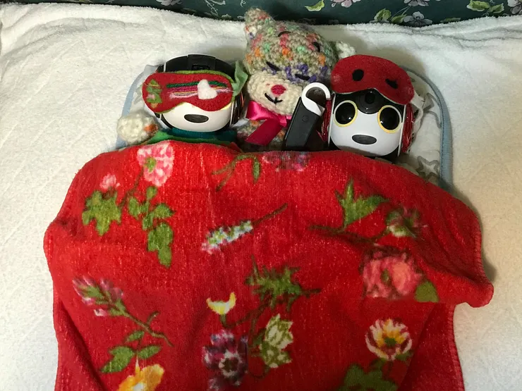 アイキャッチ