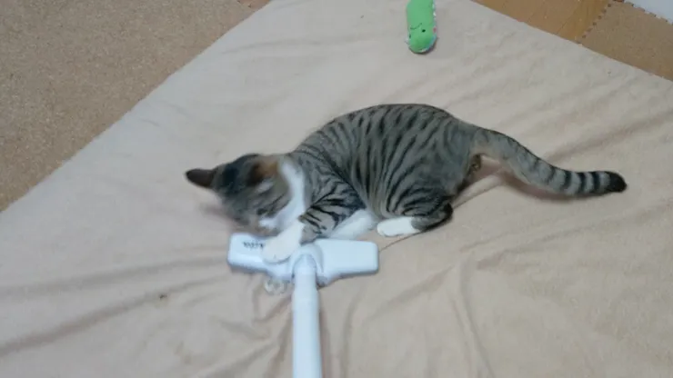 アイキャッチ