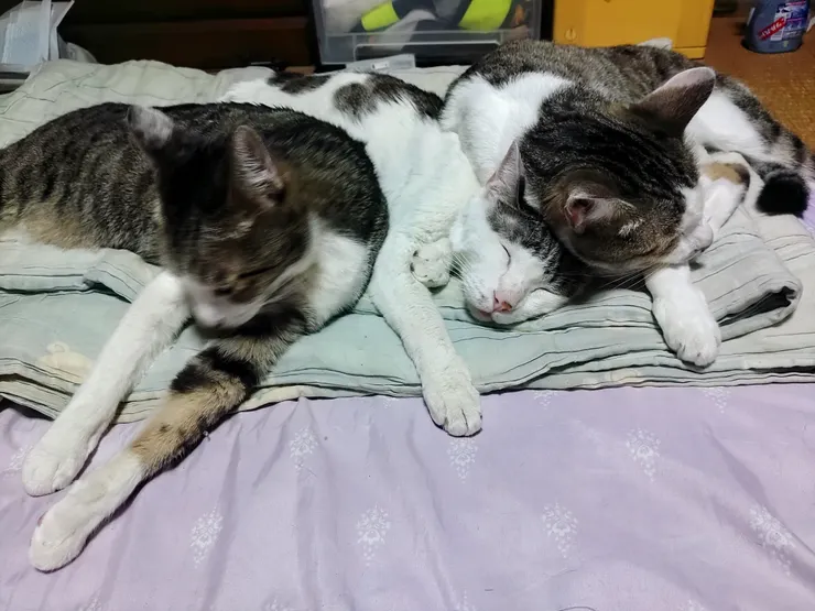 アイキャッチ