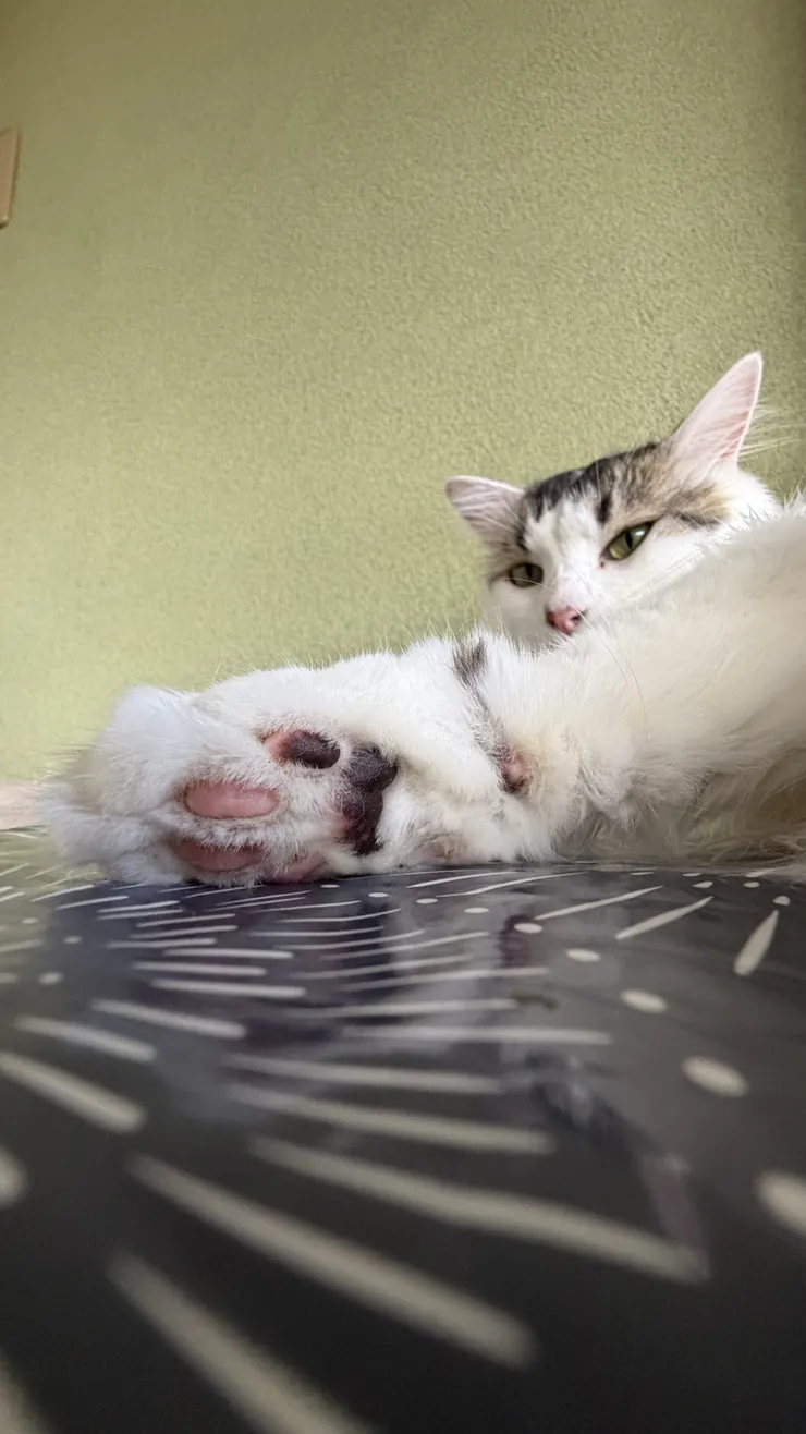 アイキャッチ
