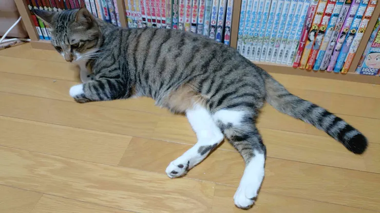 アイキャッチ