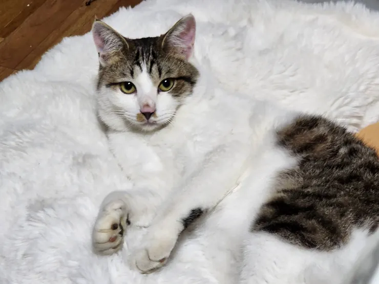 アイキャッチ