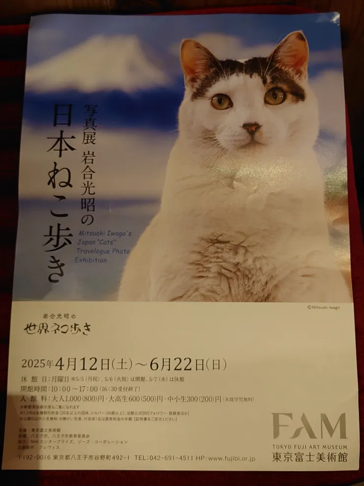 アイキャッチ