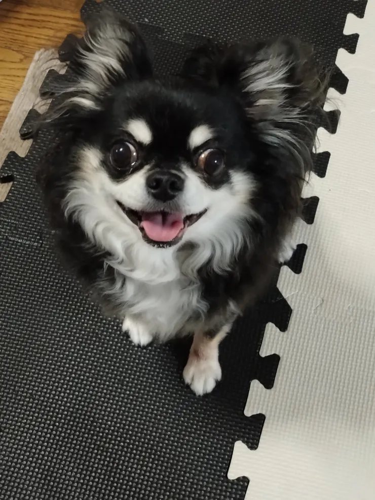 アイキャッチ