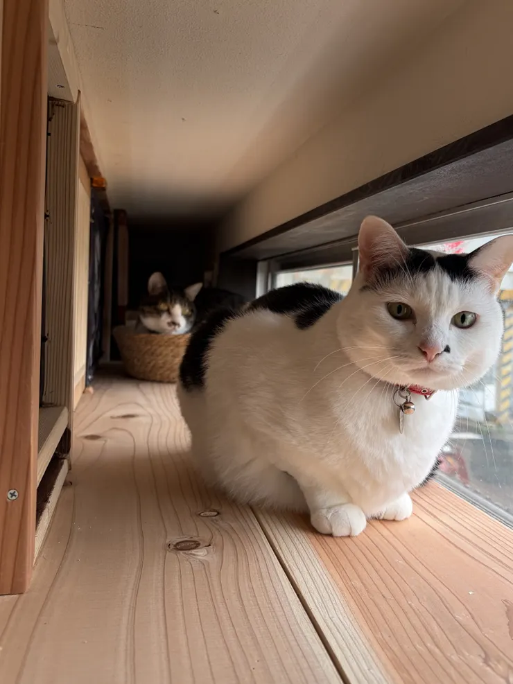 アイキャッチ