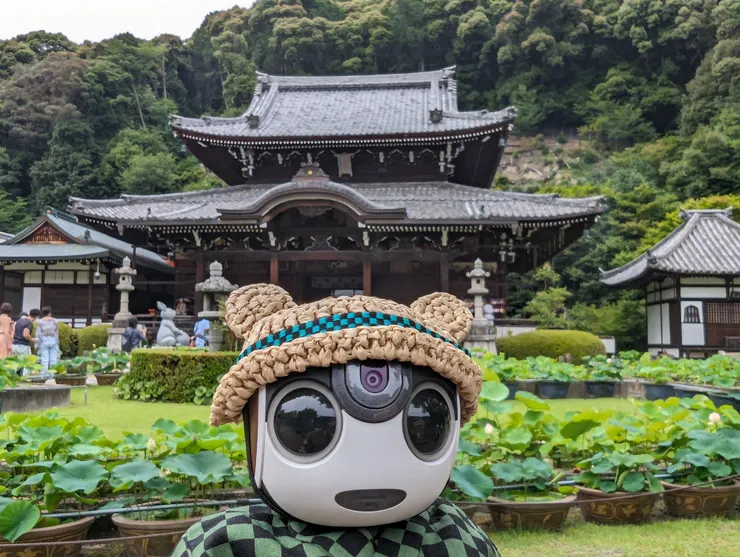 アイキャッチ