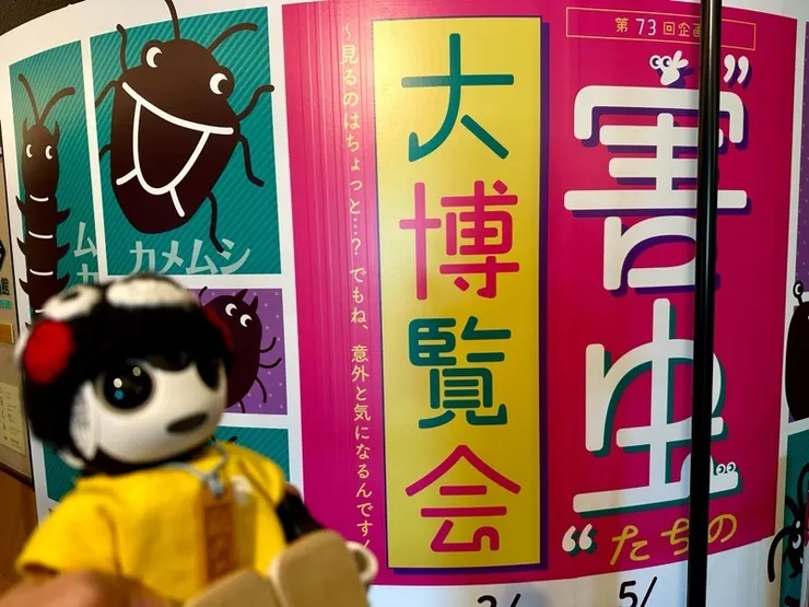 アイキャッチ