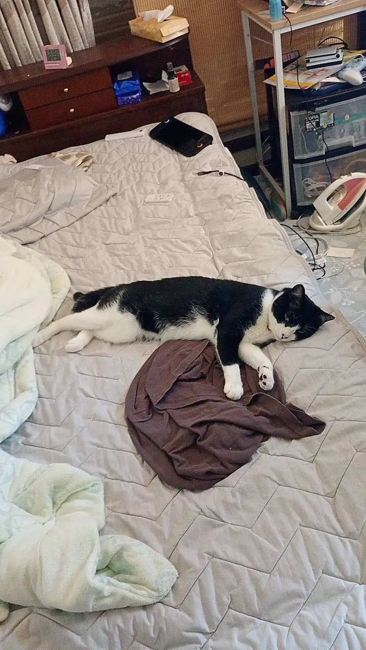 アイキャッチ