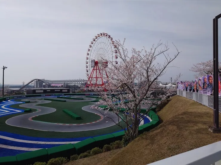 アイキャッチ