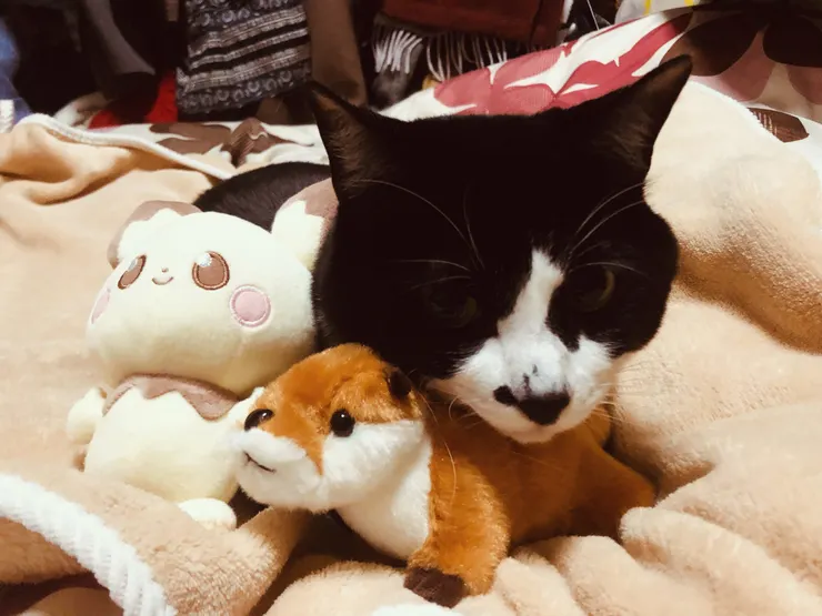 アイキャッチ