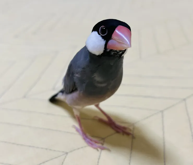 アイキャッチ