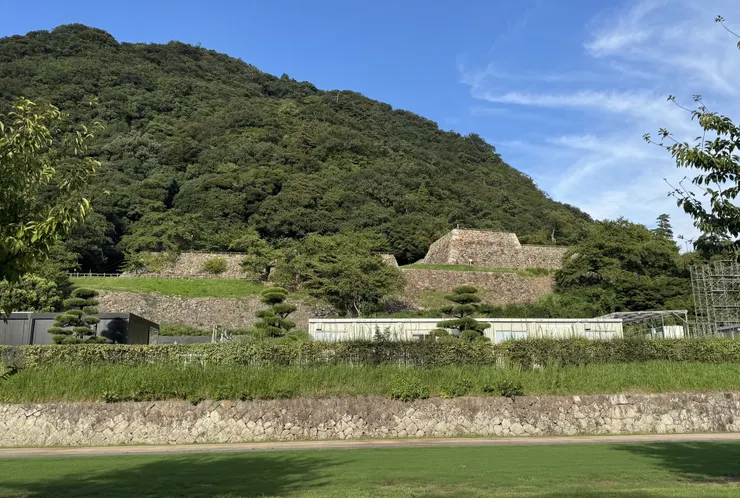アイキャッチ