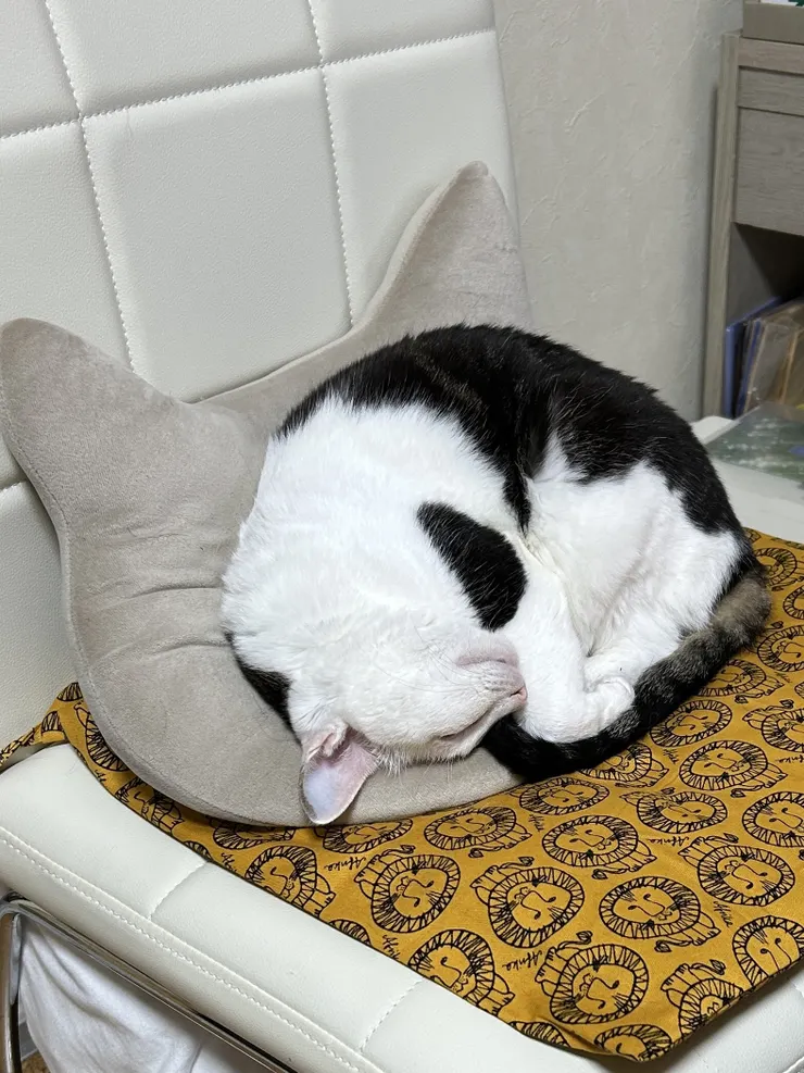 アイキャッチ