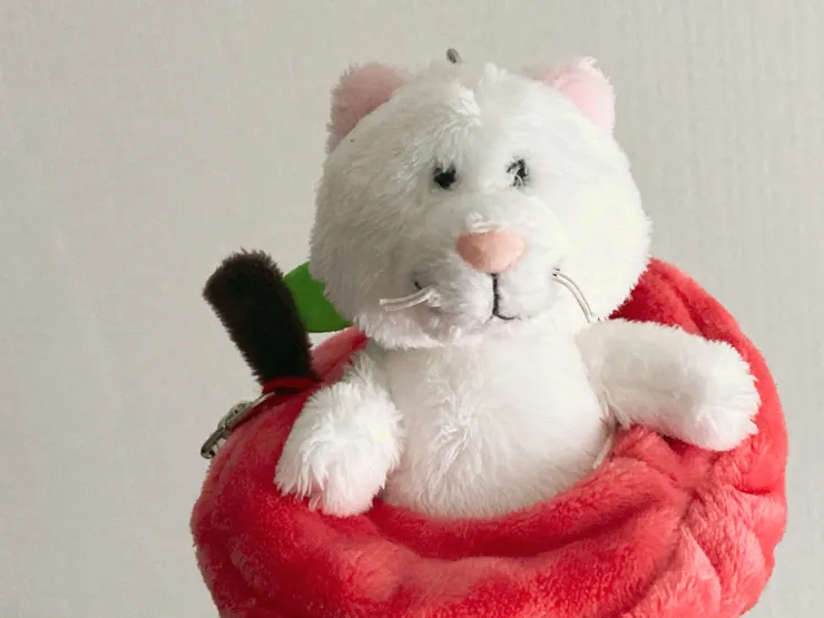 アイキャッチ