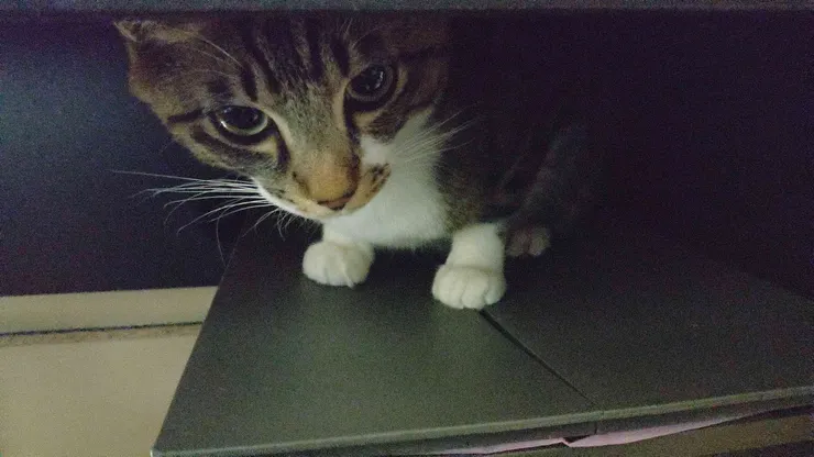 アイキャッチ
