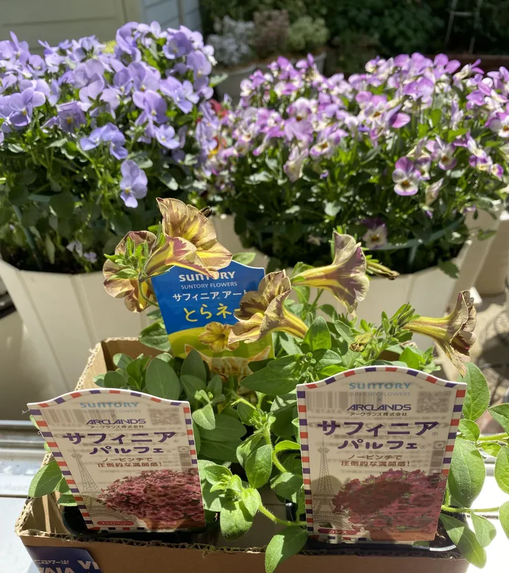 アイキャッチ