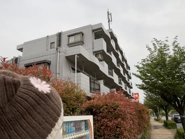 アイキャッチ