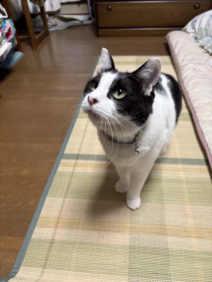 アイキャッチ