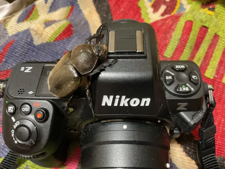 アイキャッチ