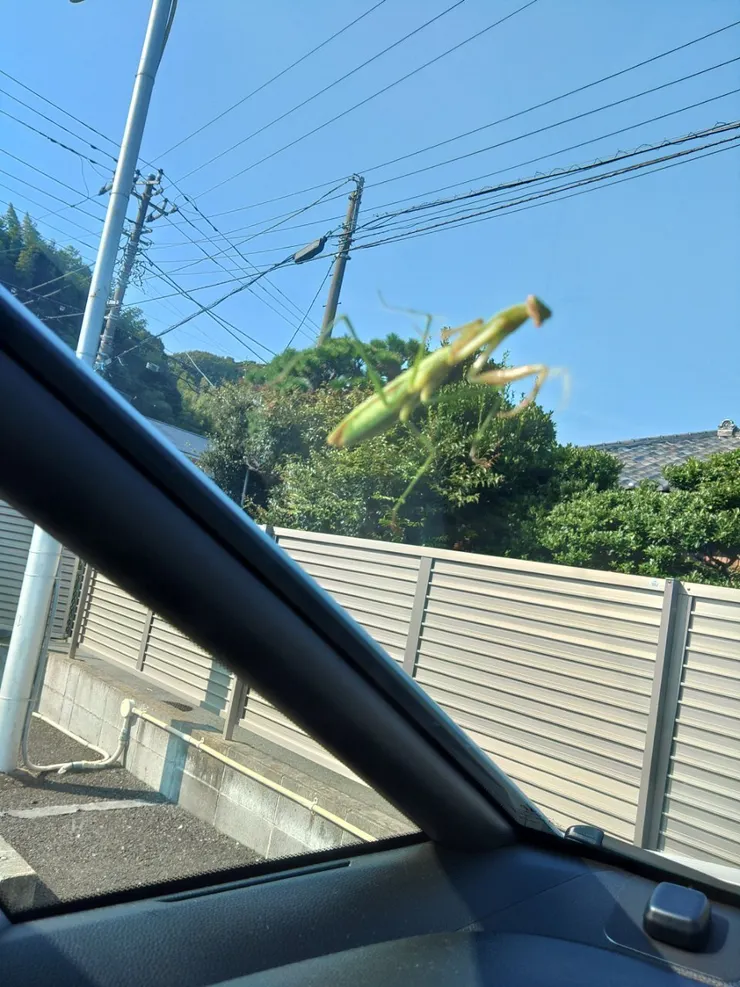 アイキャッチ