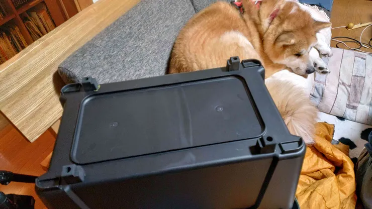 アイキャッチ