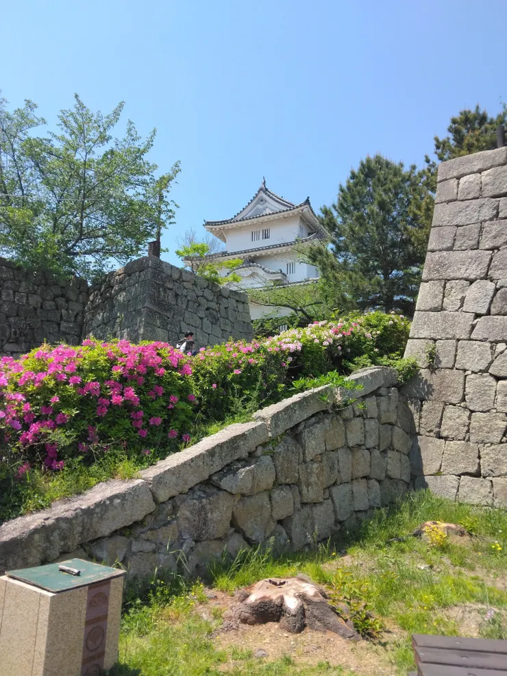 アイキャッチ