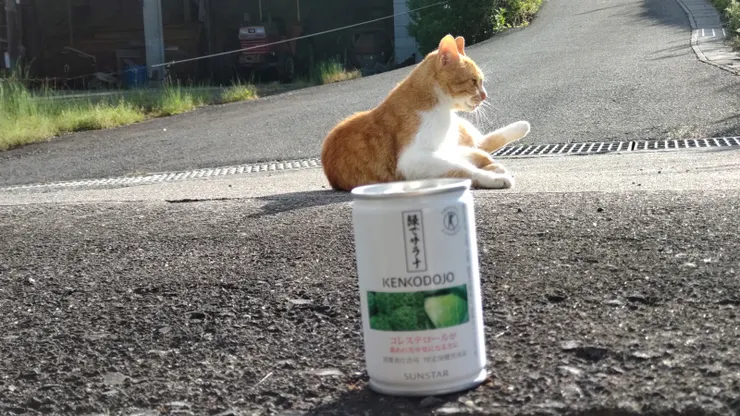 アイキャッチ
