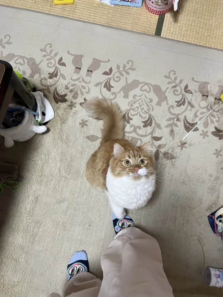 アイキャッチ
