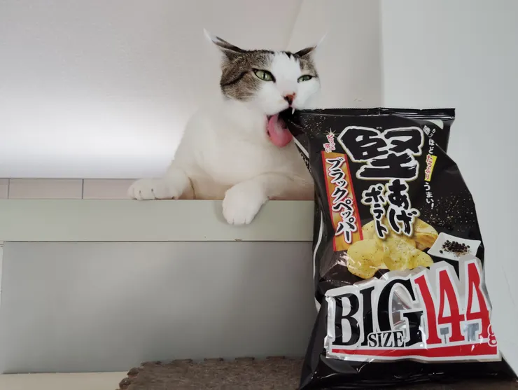 アイキャッチ