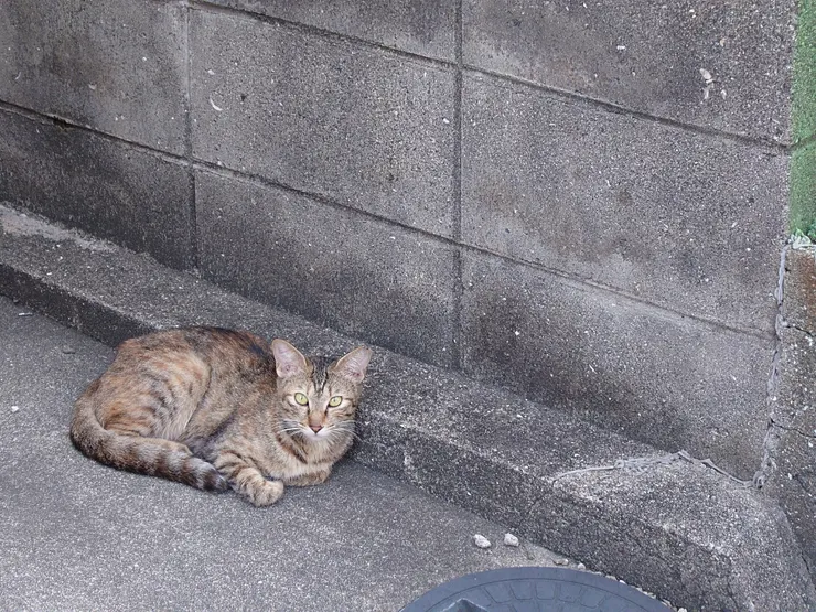 アイキャッチ