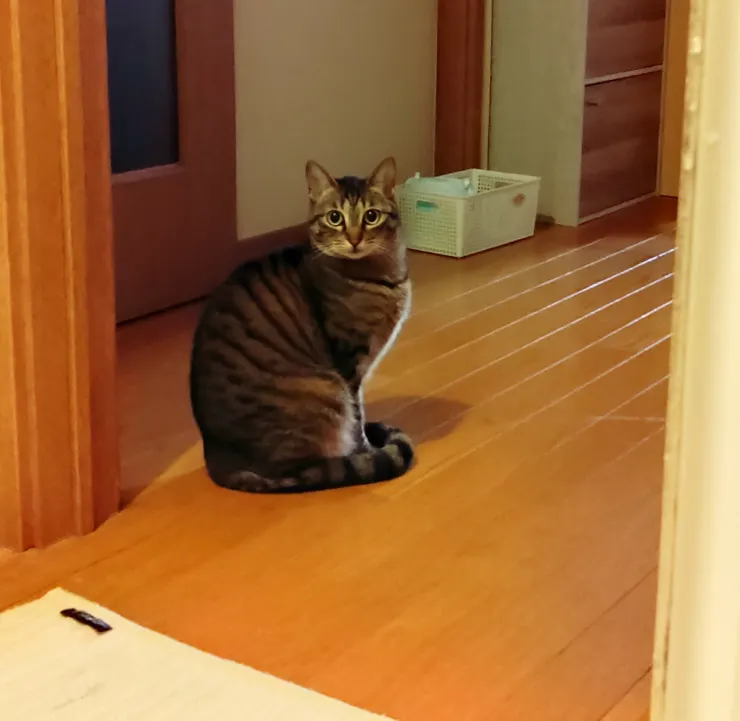 アイキャッチ