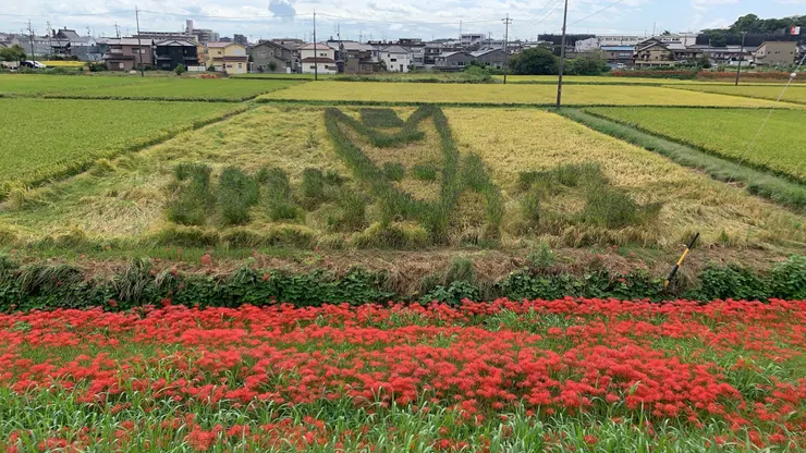 アイキャッチ