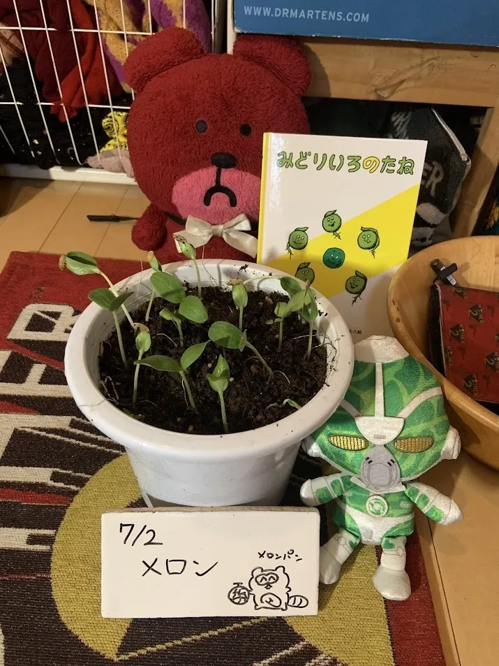 アイキャッチ