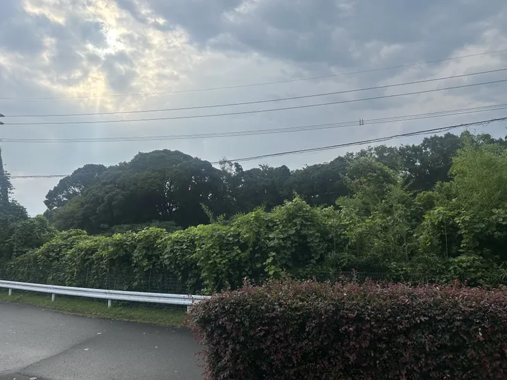 アイキャッチ