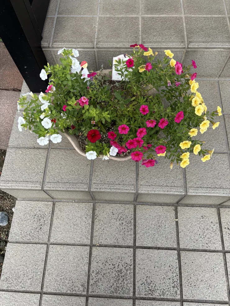 アイキャッチ
