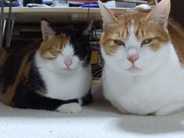 アイキャッチ