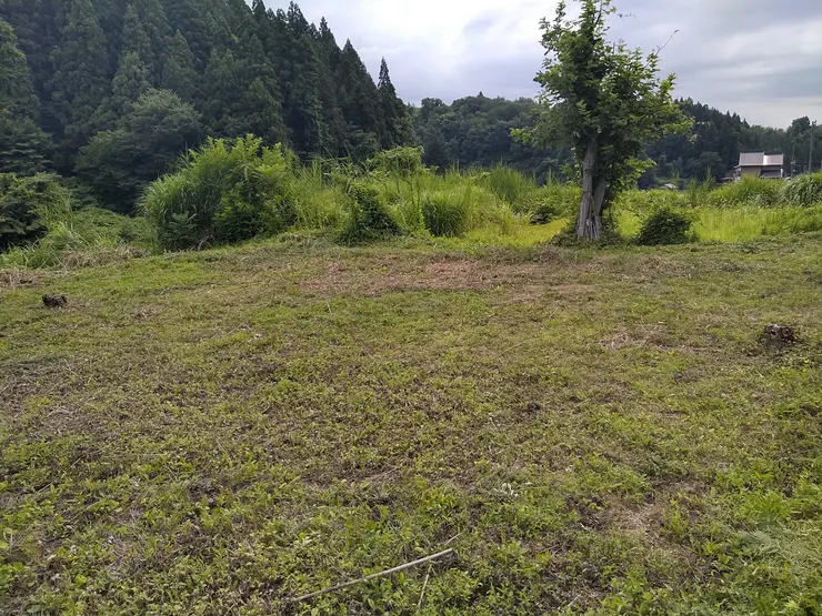 アイキャッチ