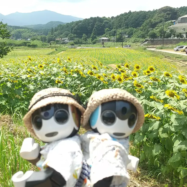 アイキャッチ