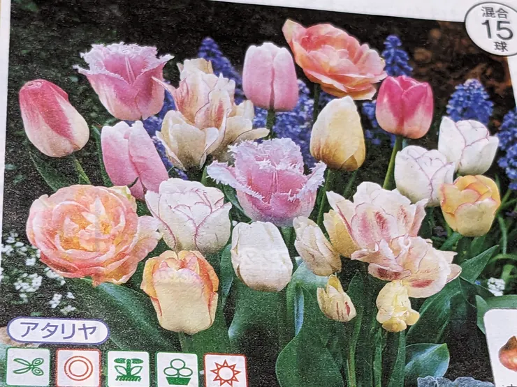 アイキャッチ