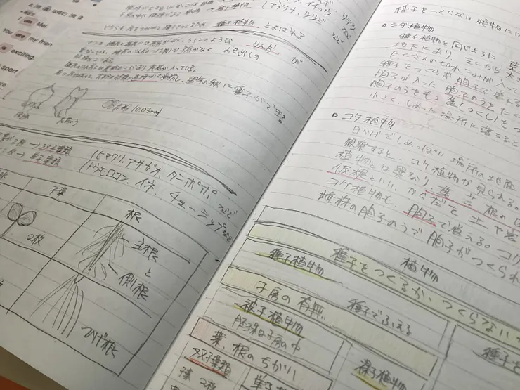アイキャッチ