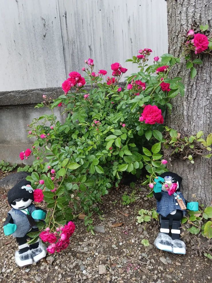 アイキャッチ