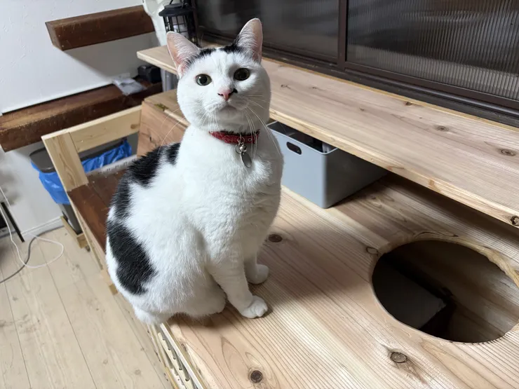 アイキャッチ