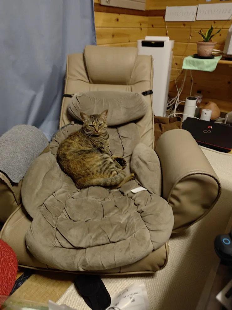 アイキャッチ