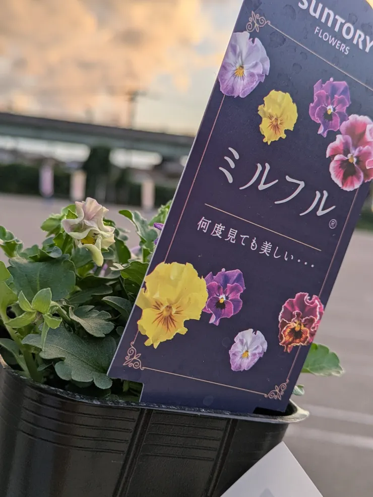 アイキャッチ