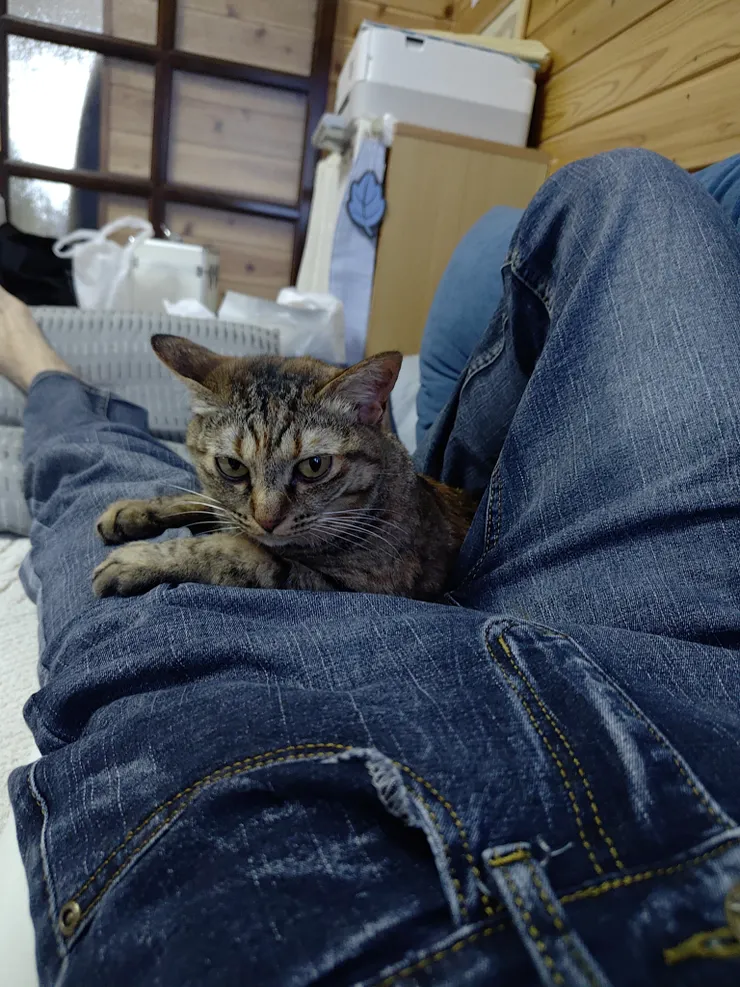 アイキャッチ